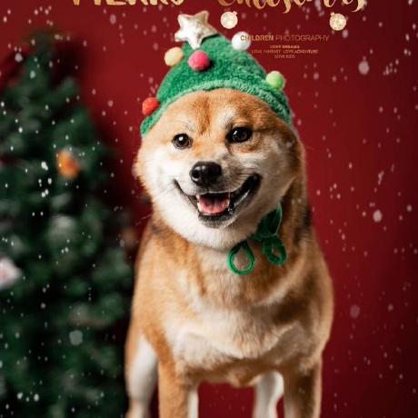 Programmer Liao Dezhi Liao Github - Ultra HD Colorful Wallpapers for Desktop