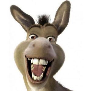 Github Jimohsheriff Donkeys About Donkeys - Retina Light Textures for Desktop