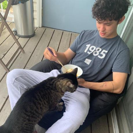 Markzaki55 Mark Zaki Github - Best Nature Patterns in Desktop