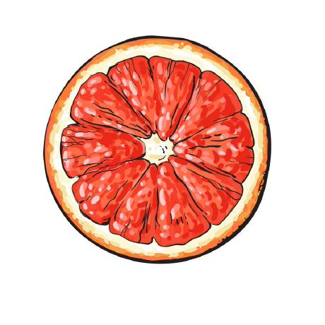 Arqui1 2018 Github - Landscape Pattern Collection - Ultra HD Quality