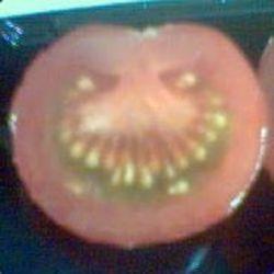 Releases Johnzero7 Xnalaramesh Github - Premium Gradient Background Gallery - 8K