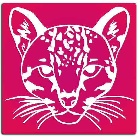 Github Leopardus Firetennisteam Firetennisteam - Download Ultra HD Vintage Picture | 8K