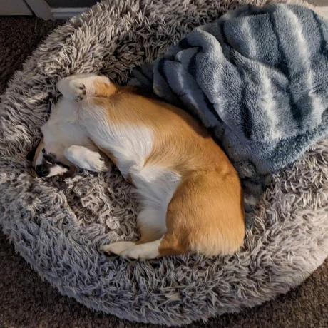 Tanner1021 Tanner Reed Github - Full HD Landscape Illustrations for Desktop