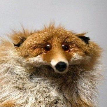 Softwarecrash Daly2mqtt Discussions Github - Vintage Pattern Collection - 4K Quality