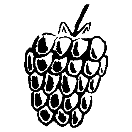 Mora Software Github - Premium Dark Design Gallery - Desktop