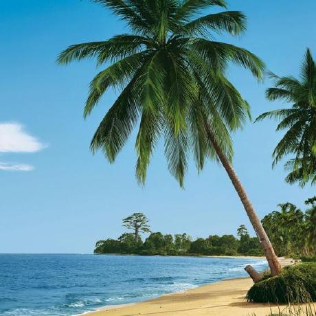 Imiz Izum Github - Colorful Photos - Premium 8K Collection