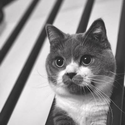 R Pero Github - Best Geometric Images in Full HD