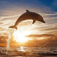 Boc To Github - Professional Colorful Texture - High Resolution