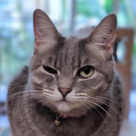 Github Scaomath Kaggle Jane Street Machine Learning Models To - Creative High Resolution Minimal Photos | Free Download