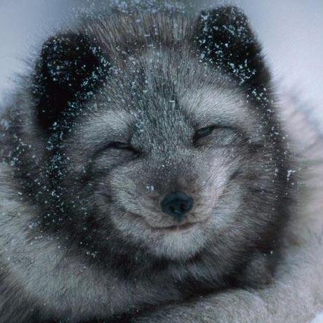 Molchan Egor Itmo Egor Molchan Github - High Resolution Space Pictures for Desktop