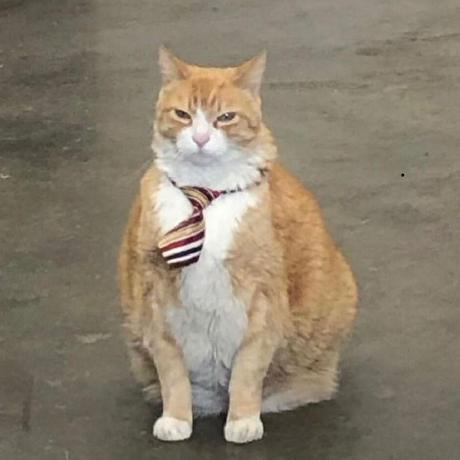 Enubia Github - Download Amazing Sunset Image | HD