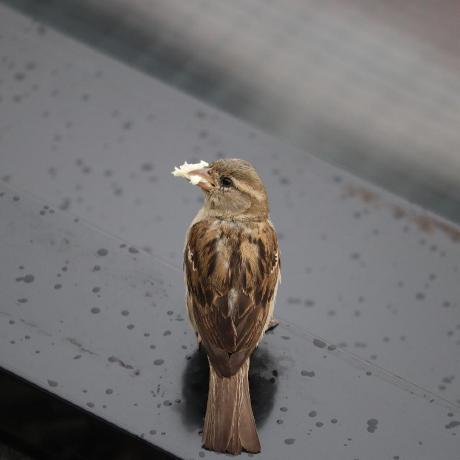 Github Frostblue Bigcity - Gradient Texture Collection - High Resolution Quality