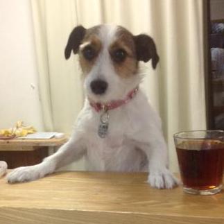 Kiuchi Ami Github - Download Perfect Colorful Pattern | Full HD