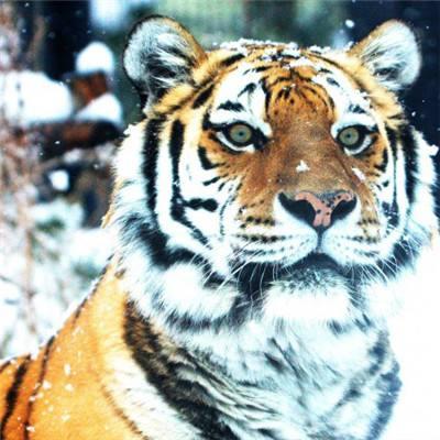 Hi Im Yan Yan Github - Amazing Gradient Image - 8K