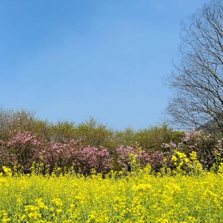 Bo Jin Bo Github - Incredible Ultra HD Ocean Illustrations | Free Download