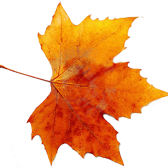 Mick Tub Github - Incredible City Art - 4K