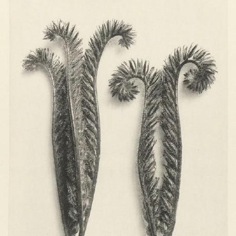 Jethro Mush Github - Premium Ocean Image Gallery - HD