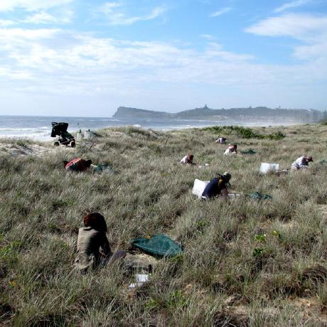 Fcobarrientos Francisco Barrientos Github - Download High Quality Mountain Photo | Ultra HD