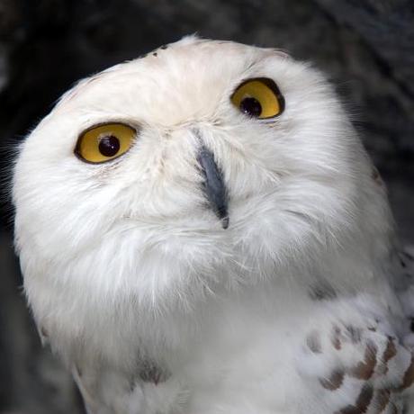 Ildar Zal Github - Download Creative Light Image | 8K