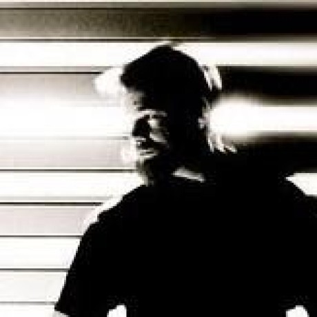 Am Moffitt Github - Nature Pictures - Incredible 8K Collection