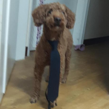 The Greenapple Greenapple Github - Full HD Space Pictures for Desktop