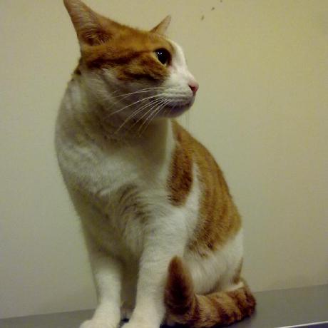 Hsinyuhcan Hsinyu Chan Github - Dark Photo Collection - 8K Quality