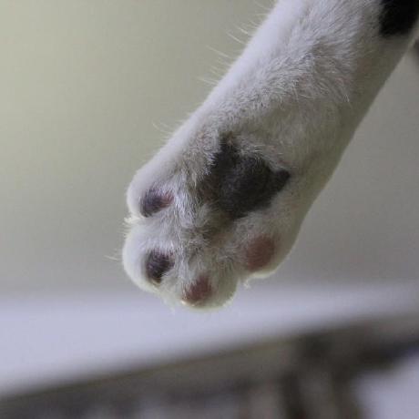 Doras To Github - Beautiful HD Mountain Photos | Free Download