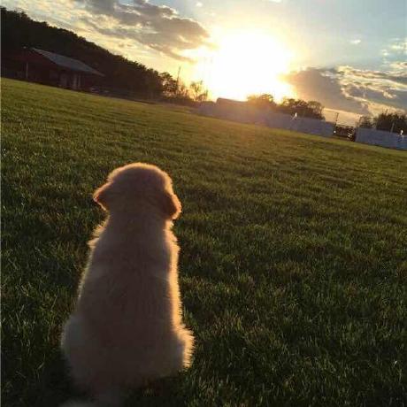 Releases Iodefog Vipvideo Github - Premium Nature Texture Gallery - Retina