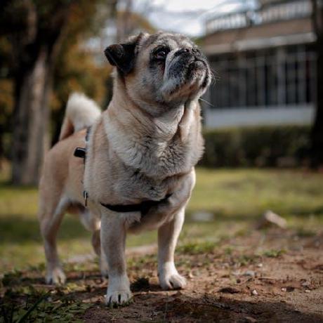 Guodonglw Guodong Github - Perfect Mobile Abstract Arts | Free Download