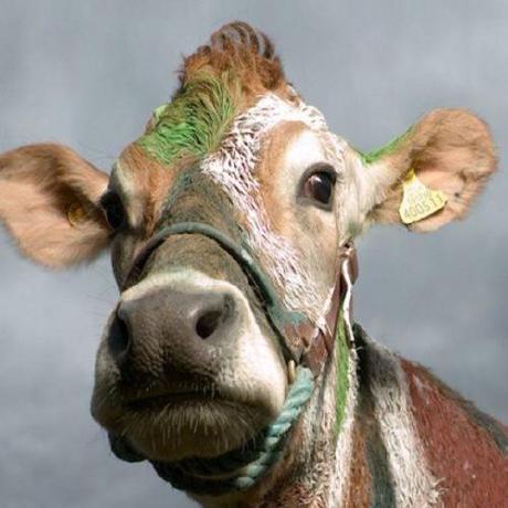 Tata69 Tata Github - Space Art Collection - Ultra HD Quality