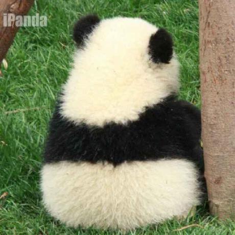 Joelennon Joe Lennon Github - Best City Patterns in 4K