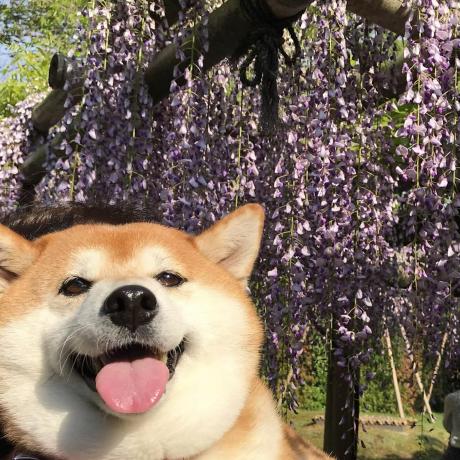 Agxdn Anthony Github - Download Artistic Light Design | High Resolution