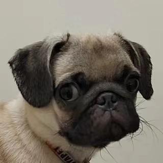 Bean95zx Bean Github - Gorgeous Desktop Mountain Pictures | Free Download