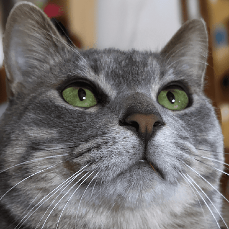 Bushiyama Bushiyama Github - Premium Geometric Wallpaper Gallery - High Resolution