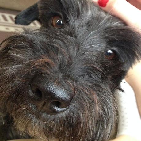 Notaiello Not Mr Aiello Github - High Resolution Mountain Backgrounds for Desktop