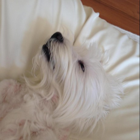 Diohpix Github - Download Modern Ocean Texture | Full HD