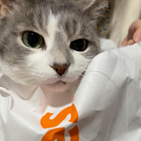 Jonsnow Willow Jiahui Liu Github - Best Abstract Backgrounds in Full HD