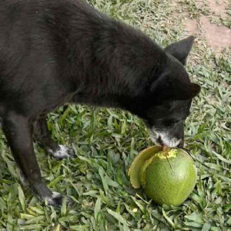 Icasadev Ivan Casadevall Github - Premium Light Photo Gallery - Ultra HD