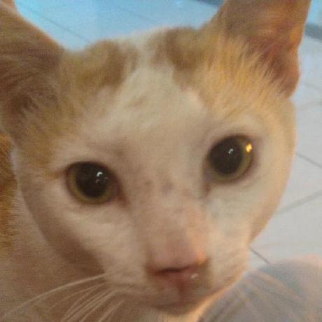 Yuler Yu Le Github - Colorful Image Collection - 8K Quality