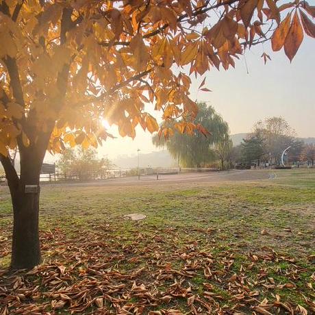 Kkang Groq Kris Github - 8K Nature Pictures for Desktop