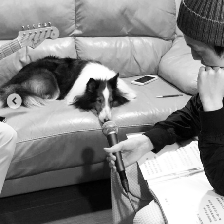 Linteng2645 Teng Github - Full HD Nature Illustrations for Desktop