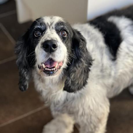 Sam Hedges Sam Hedges Github - Artistic Dark Design - Retina