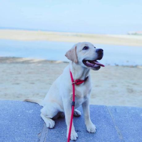 Bb Fat Github - Premium Gradient Photo Gallery - Full HD