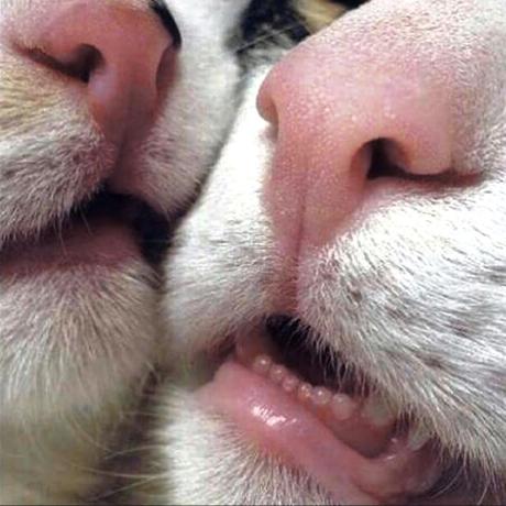 Tumbling Clouds Github - Perfect City Wallpaper - Ultra HD