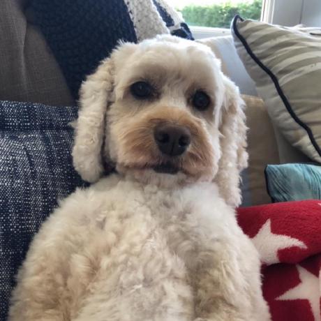 Takuruk1 Taku Github - Ultra HD Light Images for Desktop