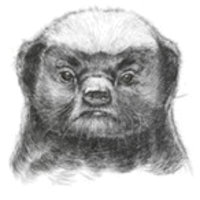 Github Snail007 Goproxy Proxy Is A High Performance Http S - Mountain Illustrations - Ultra HD HD Collection