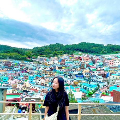 Ces Totrinh To Trinh Github - Download Artistic Vintage Photo | 4K