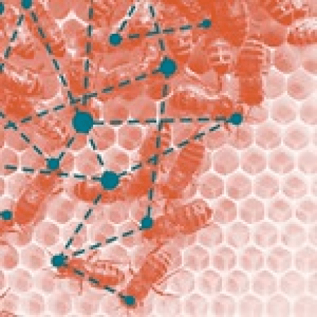 Github Travis Konarik Mphasis Stelligent U Work - Premium Geometric Design Gallery - 4K