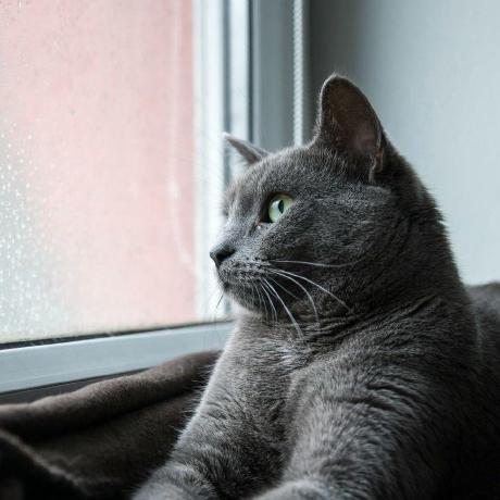 Github Wenhao Gao Mol Opt - Minimal Wallpaper Collection - Full HD Quality