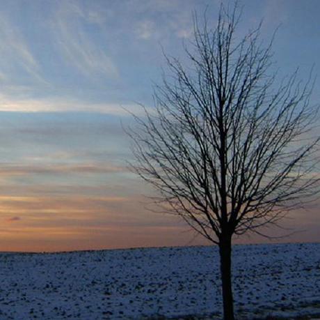 Issue 273 Curzibn Luban Github - Gorgeous Mountain Art - Ultra HD